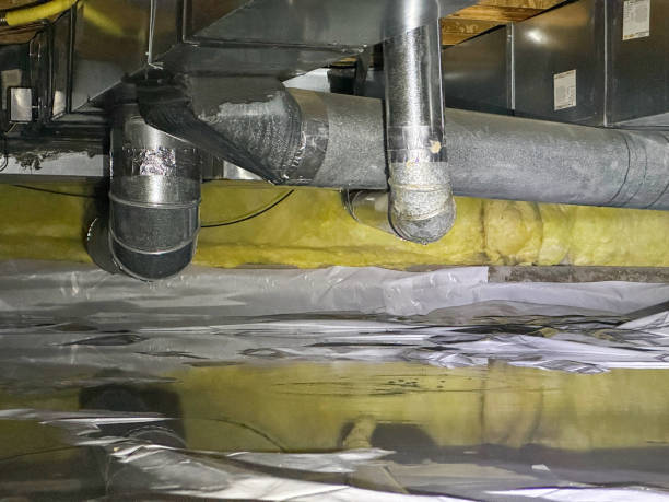Best Flood damage cleanup  in Portage, PA