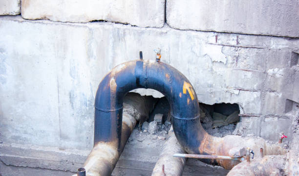 Best Professional water damage repair  in Portage, PA
