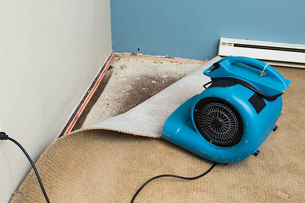 Best Water damage restoration near me  in Portage, PA